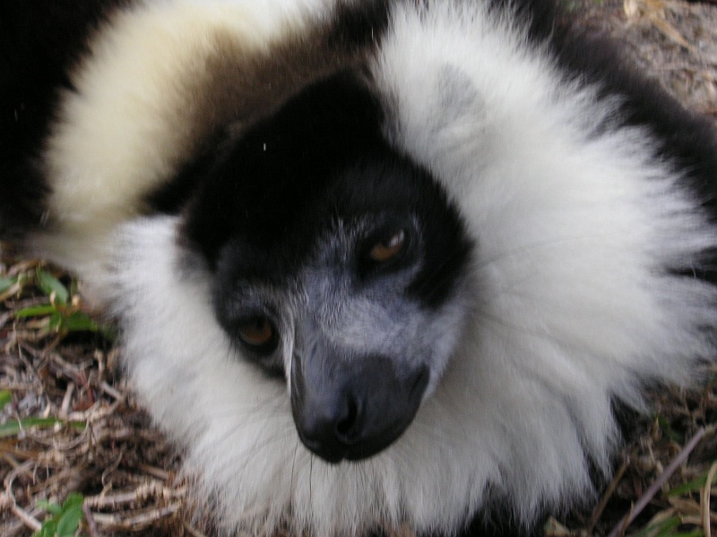 PICT0609.JPG