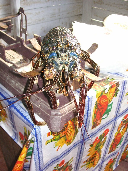PICT0621.JPG