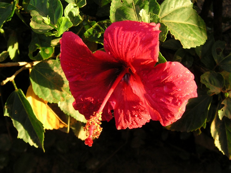 PICT0742.JPG
