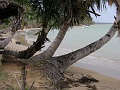 PICT0560