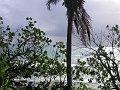 PICT0577