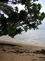 PICT0586