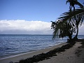 PICT0616