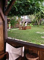 PICT0636
