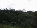 PICT0736